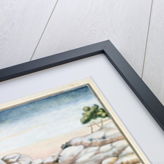 Diamond Mining in Brazil by Carlos Juliao