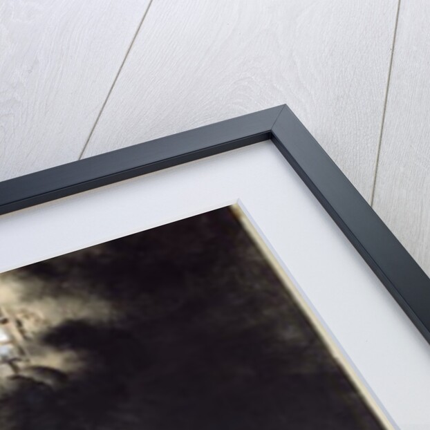 Casquets Lighthouse, 1866 by Victor Hugo