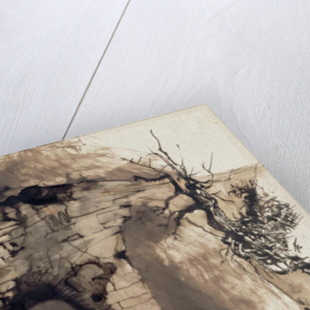 Old Bridge by Victor Hugo