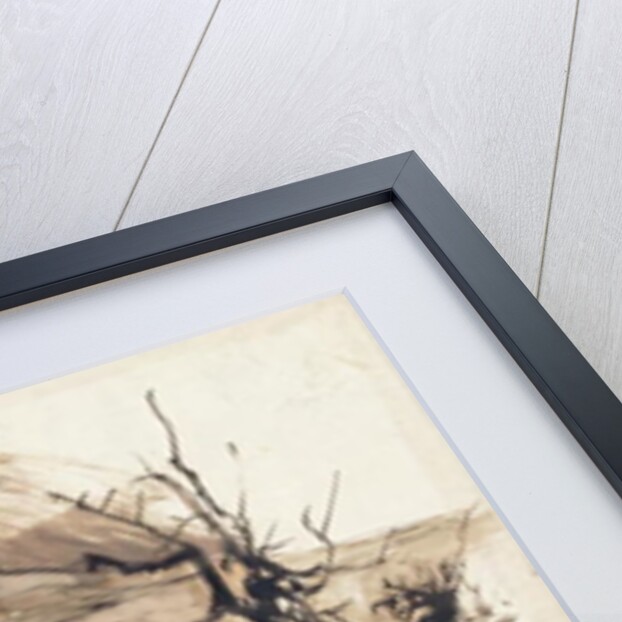 Old Bridge by Victor Hugo