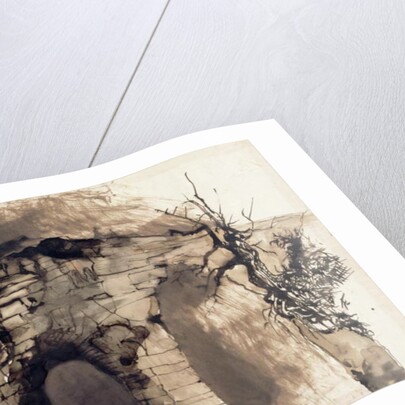 Old Bridge by Victor Hugo