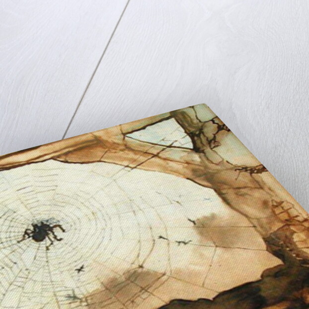 Vianden through a Spider's Web by Victor Hugo