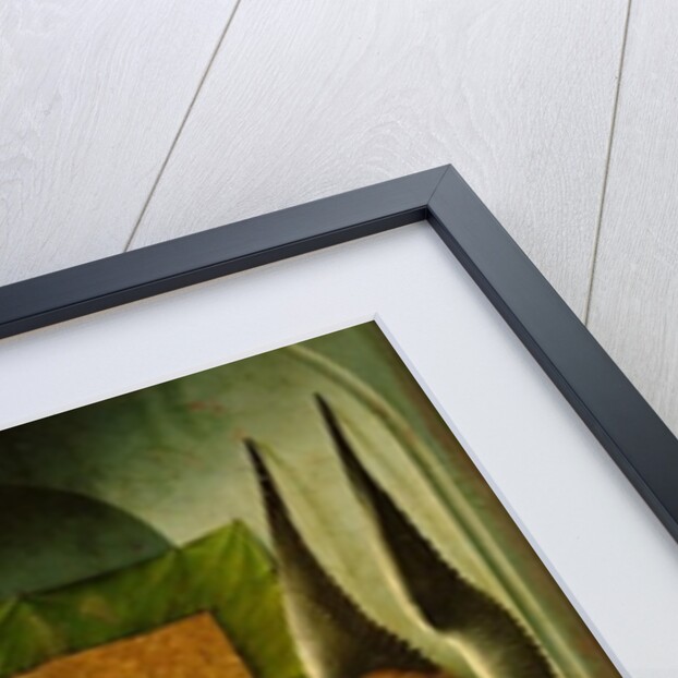 Guigone de Salins, wife of the donor, Chancellor Nicholas Rolin, Kneeling in Prayer by Rogier van der Weyden