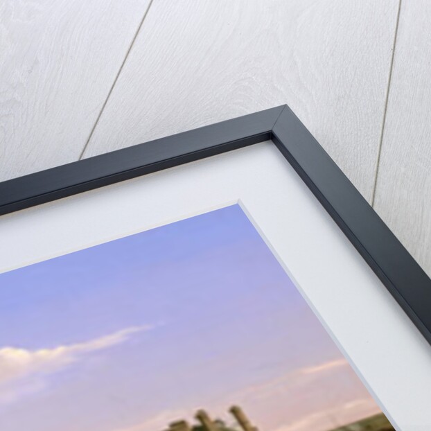View of the Gardens and Palace of the Tuileries from the Quai d'Orsay, 1813 by Etienne Bouhot