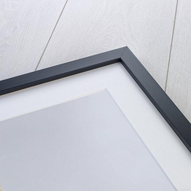 Study for The Triumph of the Republic by Aime Jules Dalou