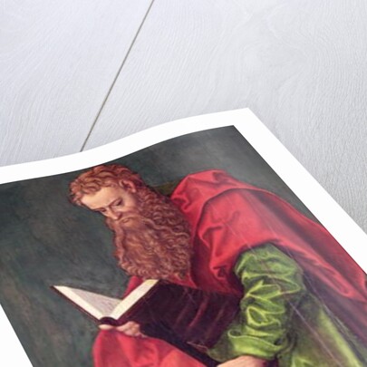 St. Paul by Lucas the Elder Cranach