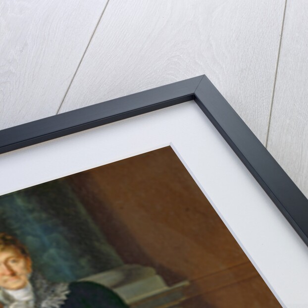 Portrait of Lazare Carnot by French School