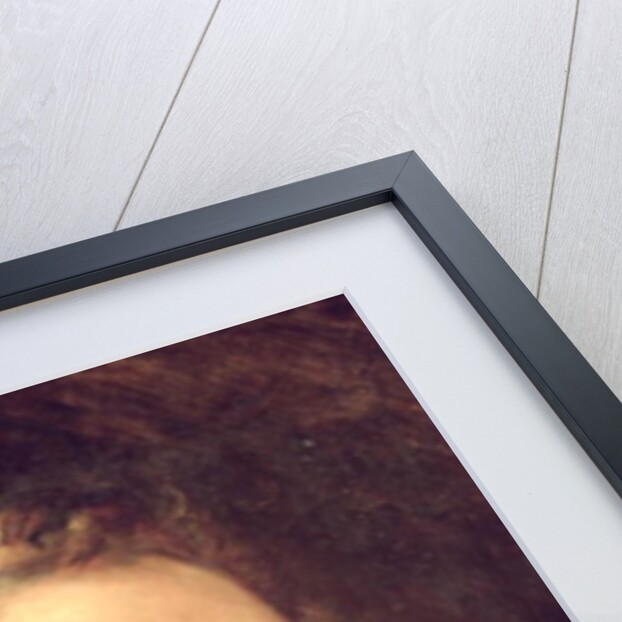 Portrait of Aimable-Guillaume-Prosper Brugiere Baron of Barante by Ary Scheffer