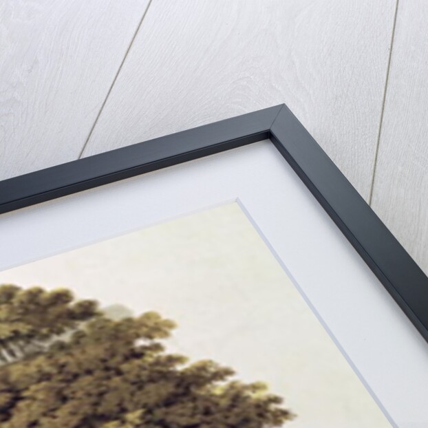 Camp Meeting of the Methodists in North America by Jacques (after) Milbert