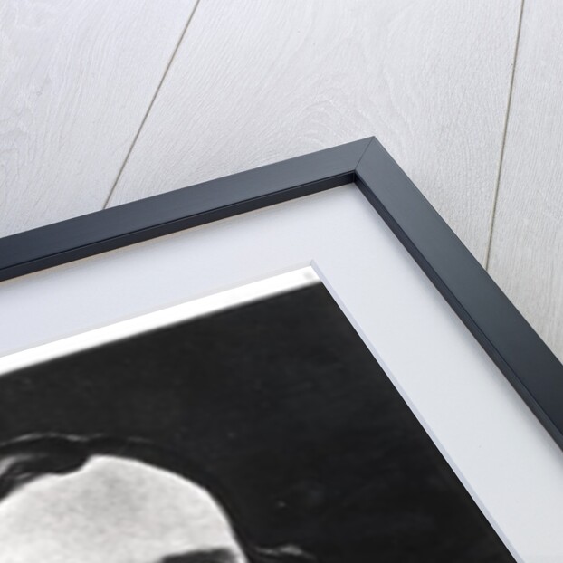 Edgar Allan Poe, 19th century by Sarah Ellen (after) Whitman