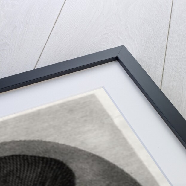 Portrait of Benvenuto Cellini by Giorgio (after) Vasari