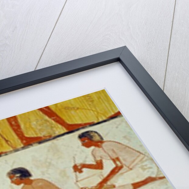 Recording the harvest by Egyptian 18th Dynasty