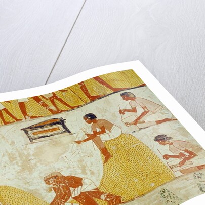 Recording the harvest by Egyptian 18th Dynasty