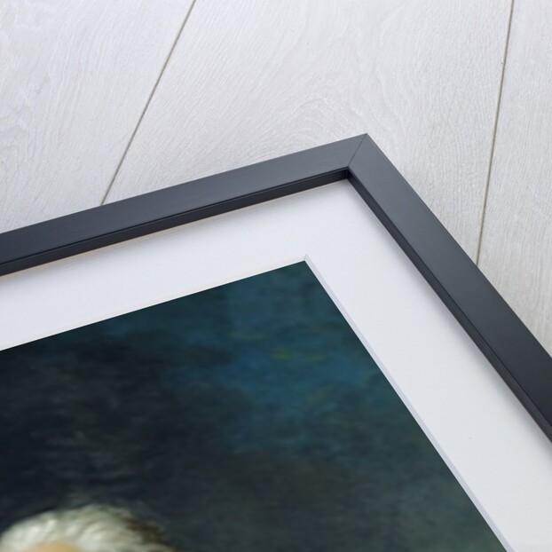 Charles-Francois du Perier Dumouriez after a painting by Jean Antoine Houdon, 1834 by Jean Sebastien Rouillard