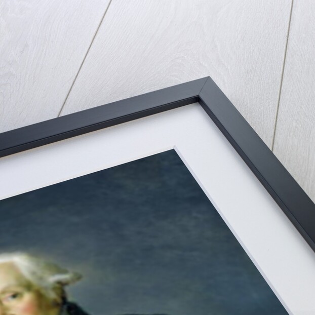 Portrait of Francois-Christophe Kellermann c.1835 by Georges Rouget