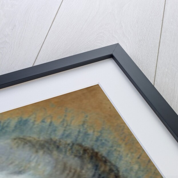 Portrait of Madame de Pompadour 1752 by Maurice Quentin de la Tour