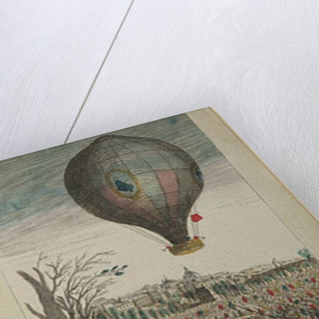 Hot-Air Balloon Experiment by the Montgolfier Brothers and Francois Pilatre de Rozier at Lyon, 19th January 1784 by French School
