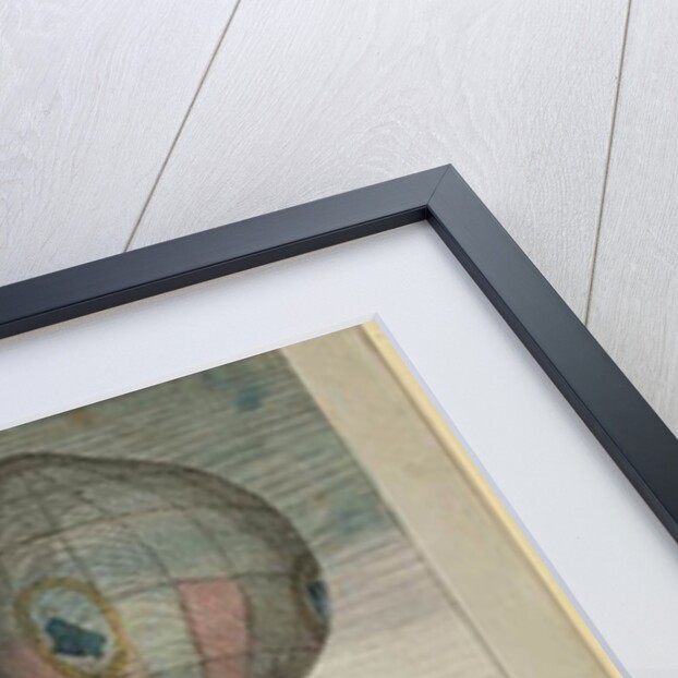 Hot-Air Balloon Experiment by the Montgolfier Brothers and Francois Pilatre de Rozier at Lyon, 19th January 1784 by French School