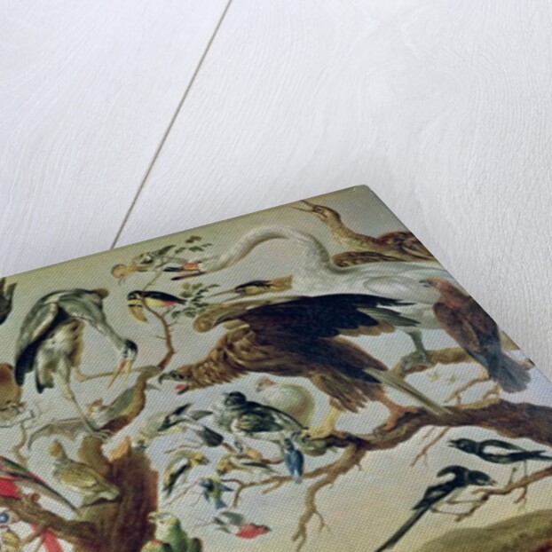 The Bird's Concert by Frans (after) Snyders