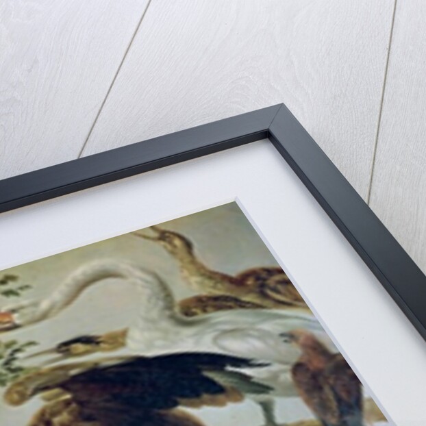 The Bird's Concert by Frans (after) Snyders