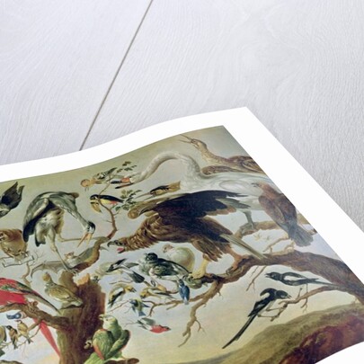 The Bird's Concert by Frans (after) Snyders