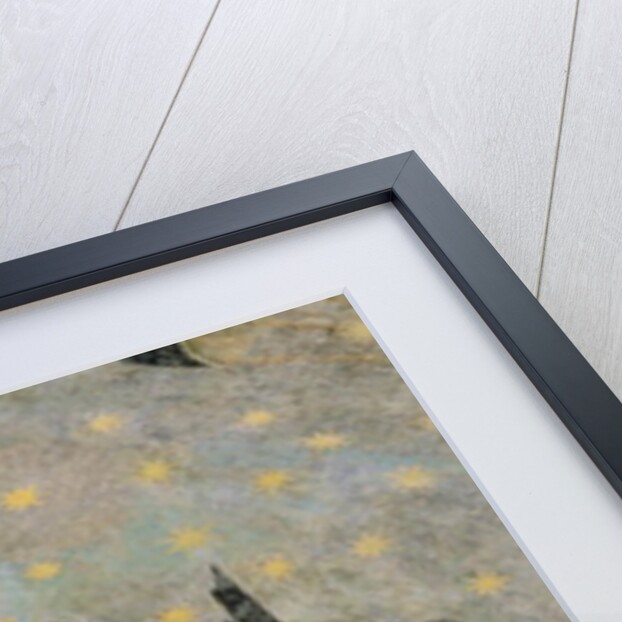 The Chariot of Mercury, detail from the vaulting of the 'Cielo de Salamanca', c.1480-90 by Fernando Gallego