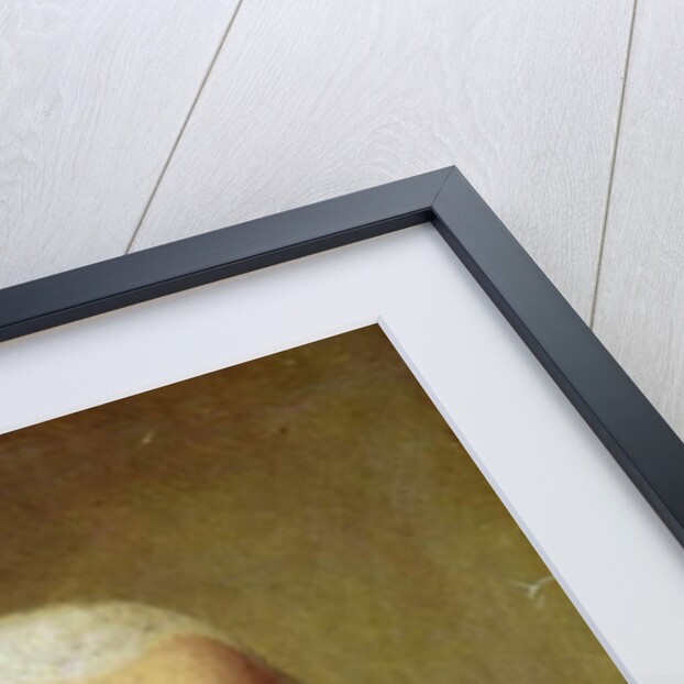 Portrait of Jean-Baptiste de Monet Chevalier de Lamarck, 1802-03 by Charles Thevenin