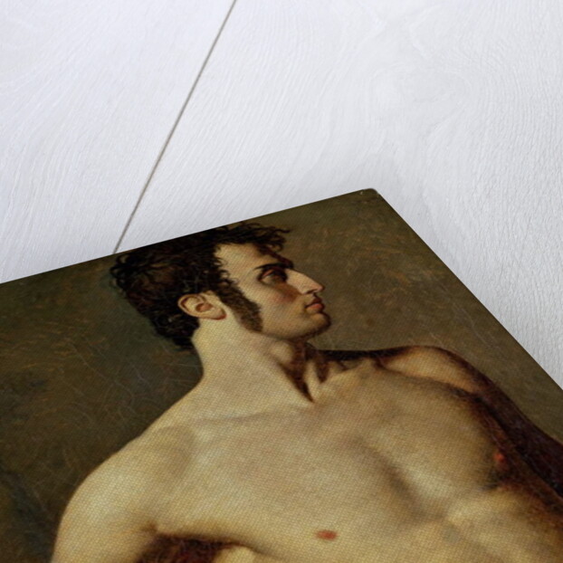 Male Torso by Jean Auguste Dominique Ingres