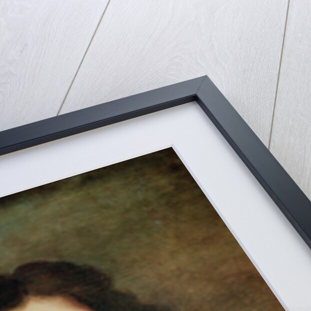 Jean de la Fontaine by Hyacinthe (studio of) Rigaud