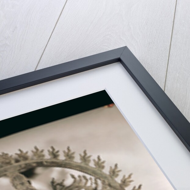 Shiva Nataraja, Dravidian by School Indian