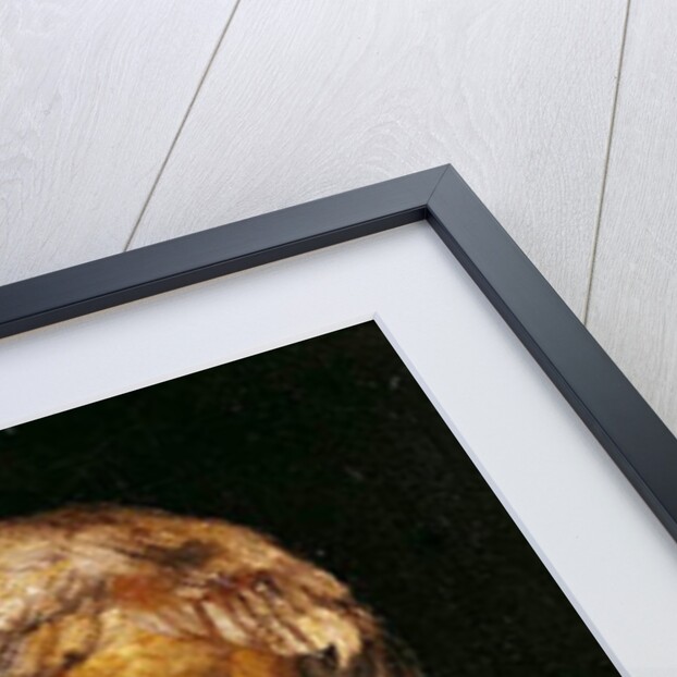 Head of a Shipwrecked Man, study for the Raft of Medusa, 1817-19 by Theodore Gericault