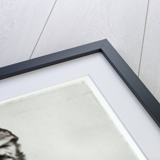 Jean Valjean by Gustave Brion