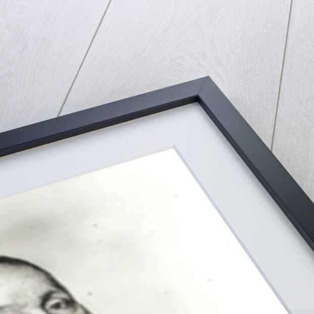 Portrait of Theodore Agrippa d'Aubigne by J. Hebert