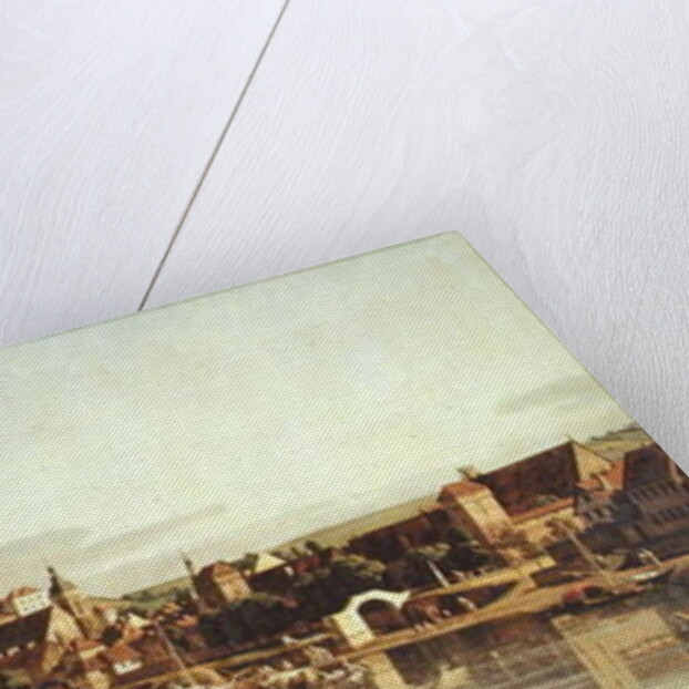 View of Pirna from the right bank of the Elbe, c.1753 by Bernardo Bellotto