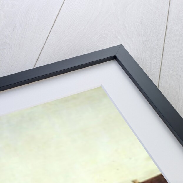 View of Pirna from the right bank of the Elbe, c.1753 by Bernardo Bellotto