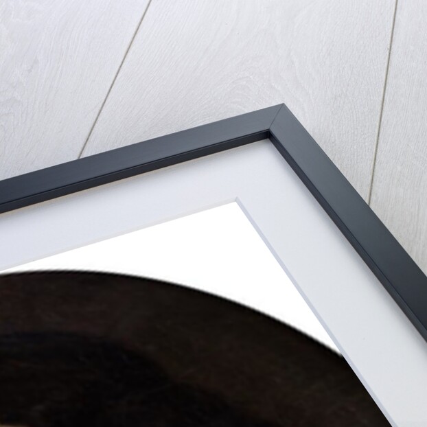 Portrait of Jean-Baptiste Colbert de Torcy by Claude Lefebvre