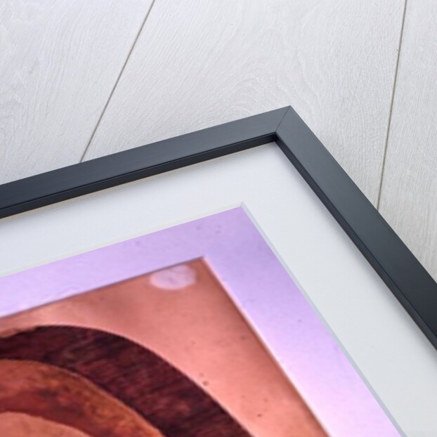 Head of a Woman by Rabindranath Tagore