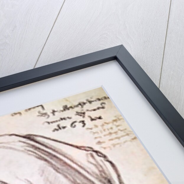 Portrait of the artist's mother, 1514 by Albrecht Dürer or Duerer