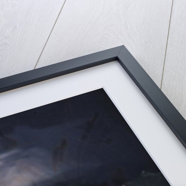 The Storm, or The Shipwreck by Theodore Gericault