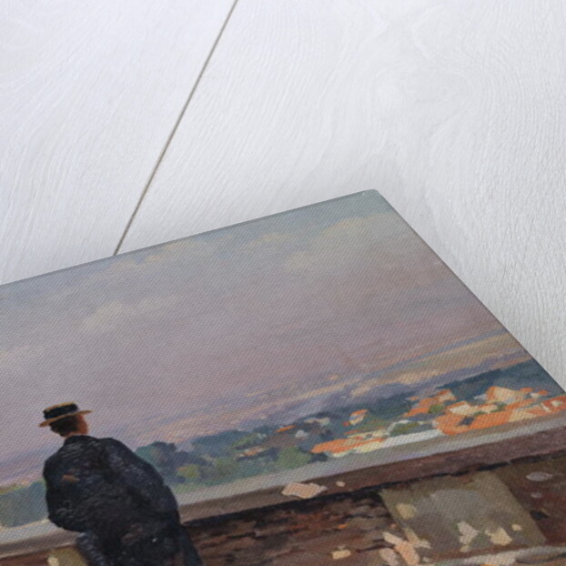 Paris from the observatory at Meudon by Jules Ernest Renoux