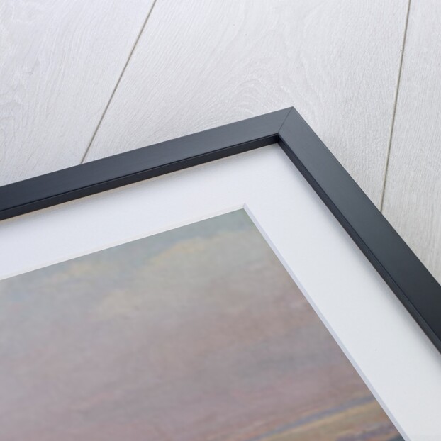 Paris from the observatory at Meudon by Jules Ernest Renoux