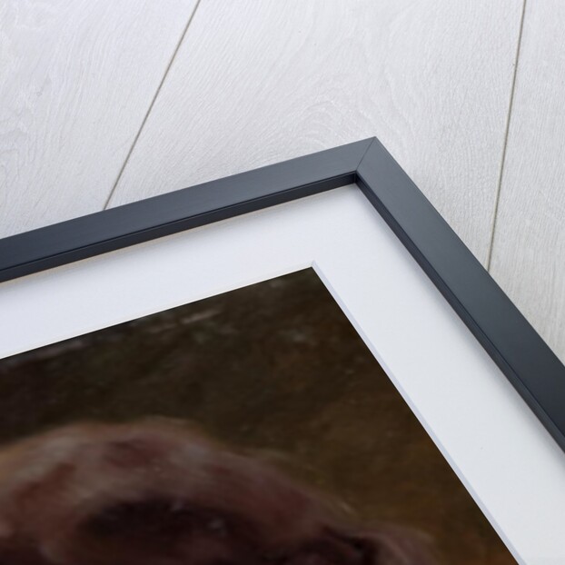 La Belle Otero by Jules Ernest Renoux