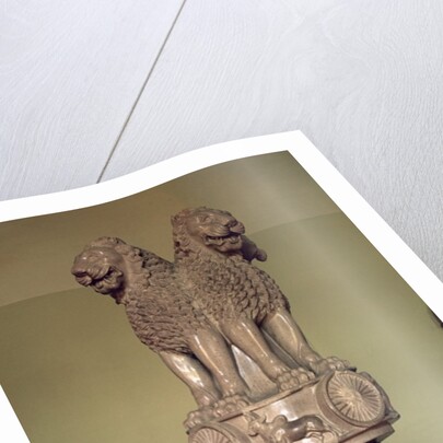 Lion capital from the Pillar of Emperor Ashoka 273-236 BC by Indian