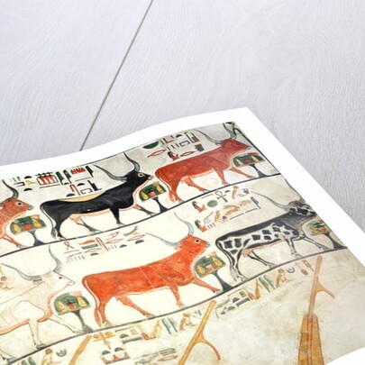 The seven celestial cows and the sacred bull and the four rudders of heaven by Egyptian 19th Dynasty