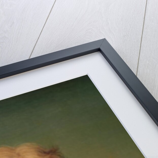 Portrait of Marie-Therese Charlotte of France Duchess of Angouleme, 1786 by Adolf Ulrich Wertmuller