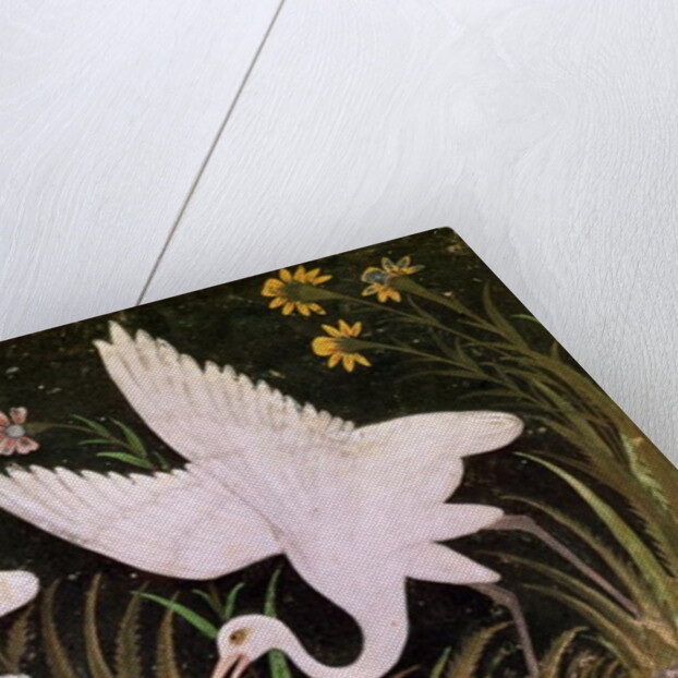 Two Cranes on the Edge of a Pond by Indian School