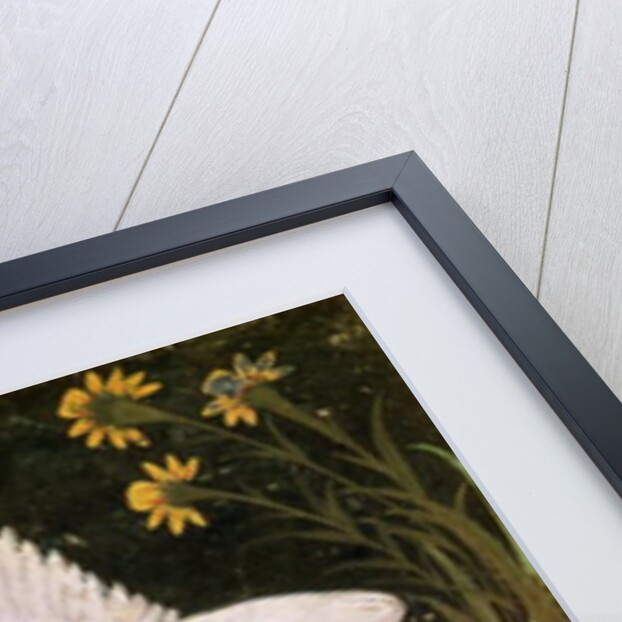 Two Cranes on the Edge of a Pond by Indian School