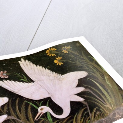 Two Cranes on the Edge of a Pond by Indian School