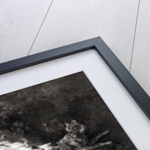 Mazeppa, 1826 by Emile Jean Horace Vernet