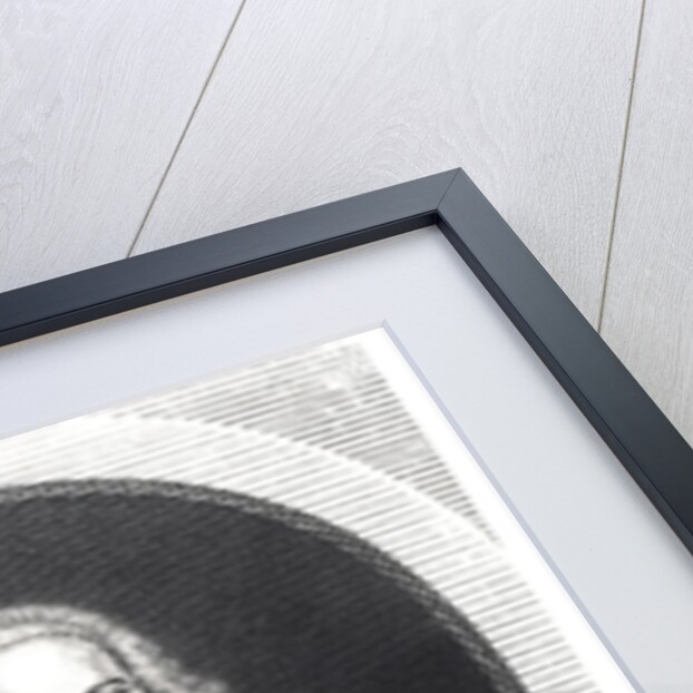 Portrait of Francois Quesnay engraved by Johan Georg Wille by J. Chevallier